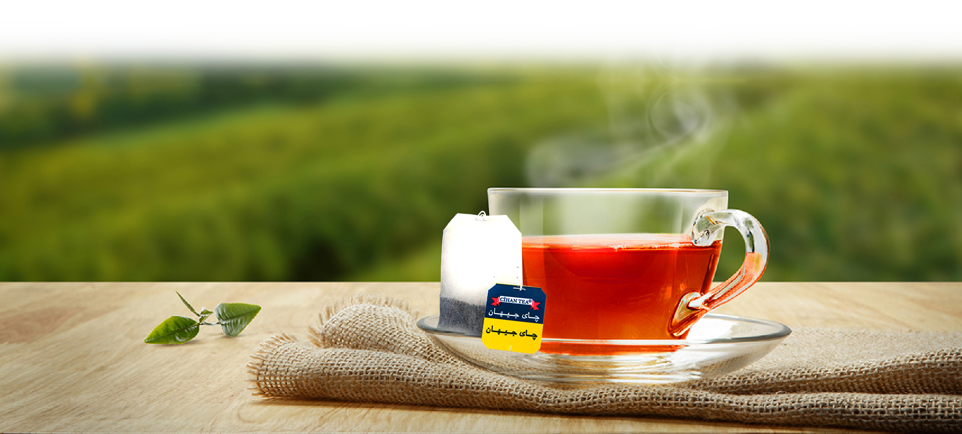 CiHAN TEA | Pure Ceylon Tea